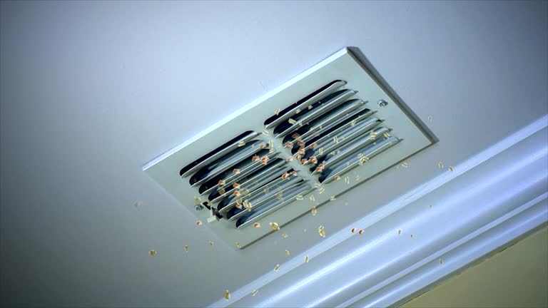 Best Air Duct Cleaning Near Me  in Vilonia, AR