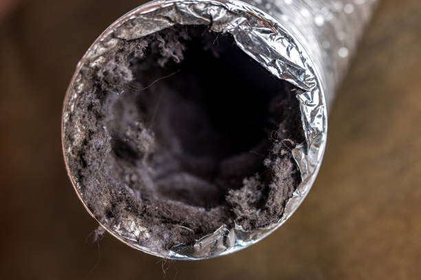 Best Residential Air Duct Cleaning  in Vilonia, AR