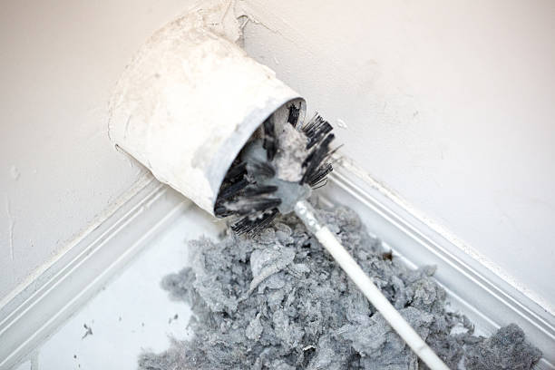 Best Affordable Duct Cleaning Services  in Vilonia, AR